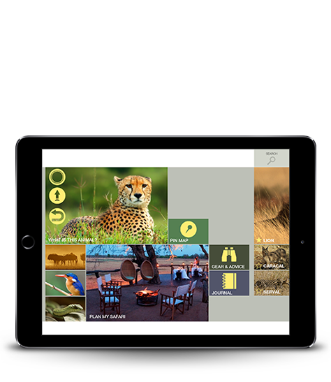 My Safari App